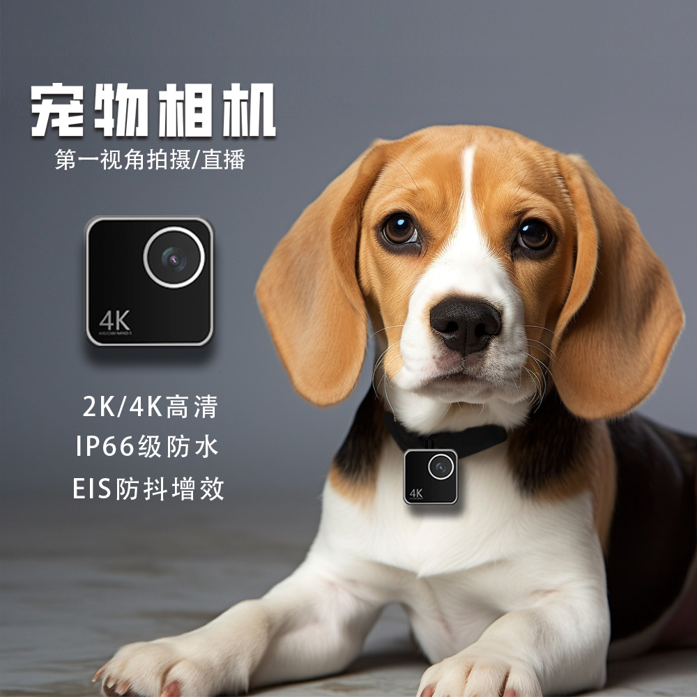 Animal cat dog pet camera firs - Cameras recension och pris